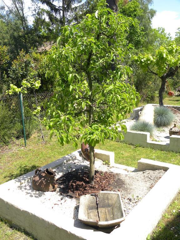 Villa Mogador Piscine Et Balneo Andernos-les-Bains Bagian luar foto